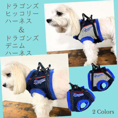 ドラゴンス承認デニムスタジャン | ワンジーデニムオンライン